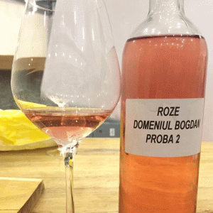 "Domeniul Bogdan" aduce vinurile biodinamice în România "Domeniul Bogdan" aduce vinurile biodinamice în România