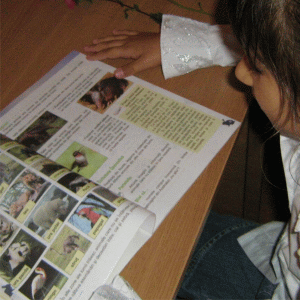 Fără schimbări majore la principalele examene! Fără schimbări majore la principalele examene!