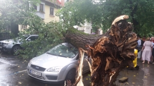 IGSU: Unsprezece localităţi din şapte judeţe, afectate de furtuni în ultimele 24 de ore IGSU: Unsprezece localităţi din şapte judeţe, afectate de furtuni în ultimele 24 de ore