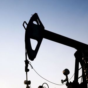 Compania Upetrom 1 Mai, controlată de Gabriel Comănescu, în insolvenţă Compania Upetrom 1 Mai, controlată de Gabriel Comănescu, în insolvenţă