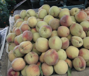 Ajutoare suplimentare de 12,8 milioane de euro pentru producătorii de piersici şi nectarine Ajutoare suplimentare de 12,8 milioane de euro pentru producătorii de piersici şi nectarine