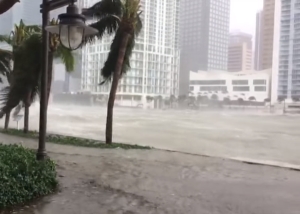 Alţi trei cetăţeni români au fost evacuaţi din insula Saint Martin, afectată de uraganul Irma Alţi trei cetăţeni români au fost evacuaţi din insula Saint Martin, afectată de uraganul Irma
