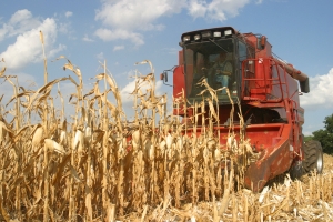 Fonduri mai mari alocate sprijinului acordat agricultorilor pentru achiziţionarea motorinei Fonduri mai mari alocate sprijinului acordat agricultorilor pentru achiziţionarea motorinei