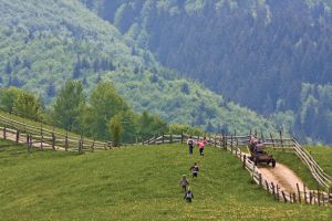 Înnoptările turiştilor în structurile de primire turistică au crescut cu 4,3% Înnoptările turiştilor în structurile de primire turistică au crescut cu 4,3%