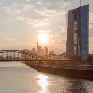 The ECB proposes dropping the guarantee of bank deposits The ECB proposes dropping the guarantee of bank deposits