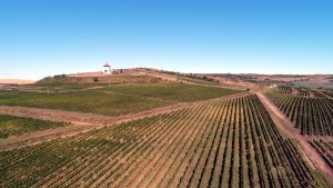 Villa Vinea urmează să lanseze prima ediţie a noului vin spumant Villa Vinea urmează să lanseze prima ediţie a noului vin spumant