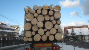 "Holzindustrie Schweighofer" anunţă noua versiune a sistemului Timflow de monitorizare a livrărilor de buştean "Holzindustrie Schweighofer" anunţă noua versiune a sistemului Timflow de monitorizare a livrărilor de buştean