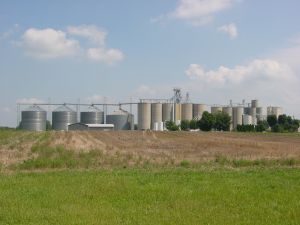 Ţara noastră a exportat aproape 8 milioane de tone de cereale, în primele nouă luni din 2017 Ţara noastră a exportat aproape 8 milioane de tone de cereale, în primele nouă luni din 2017