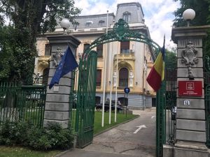Protestatarii din faţa sediului PSD băgaţi cu forţa în duba jandarmeriei în frunte cu Mălin Bot Protestatarii din faţa sediului PSD băgaţi cu forţa în duba jandarmeriei în frunte cu Mălin Bot