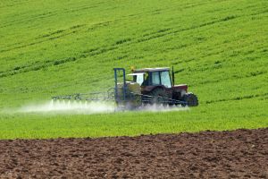 Garanţii de stat de 80% pentru creditele de producţie accesate de fermieri Garanţii de stat de 80% pentru creditele de producţie accesate de fermieri