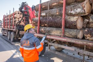 Holzindustrie Schweighofer a refuzat un transport suspect de material lemnos Holzindustrie Schweighofer a refuzat un transport suspect de material lemnos