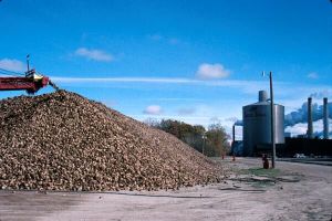 MADR a încheiat procedura de recunoaştere a fabricilor de zahăr MADR a încheiat procedura de recunoaştere a fabricilor de zahăr