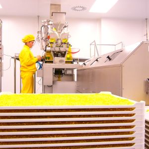Acþionarii Biofarm au aprobat distribuirea unui dividend brut de 0,019 lei/acþiune Acþionarii Biofarm au aprobat distribuirea unui dividend brut de 0,019 lei/acþiune
