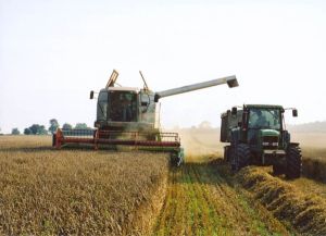 "Executivul vrea ca sectorul agricol să devină motor de creştere economică" "Executivul vrea ca sectorul agricol să devină motor de creştere economică"