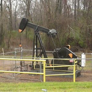 OPEC estimeazã cã cererea de petrol va rãmâne ridicatã OPEC estimeazã cã cererea de petrol va rãmâne ridicatã