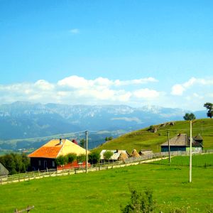 Creştere de 50% a vânzărilor cu vouchere de vacanţă Creştere de 50% a vânzărilor cu vouchere de vacanţă
