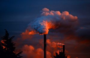 Eurostat: Irlanda ºi România lideri la producþia industrialã Eurostat: Irlanda ºi România lideri la producþia industrialã