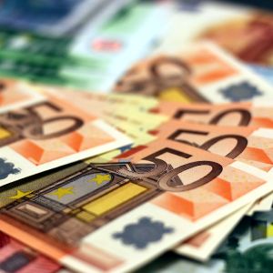 UE ne-a dat bani doar pentru ANSVSA UE ne-a dat bani doar pentru ANSVSA