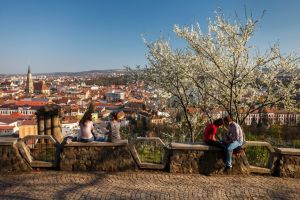 Primăria Cluj-Napoca, dată în judecată pentru că nu organizează conferinţe de presă Primăria Cluj-Napoca, dată în judecată pentru că nu organizează conferinţe de presă