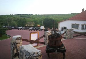 Vinurile moldoveneşti de la Asconi au intrat şi în ţara noastră Vinurile moldoveneşti de la Asconi au intrat şi în ţara noastră