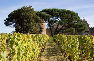 LVMH preia producãtorul de vinuri Chateau du Galoupet LVMH preia producãtorul de vinuri Chateau du Galoupet
