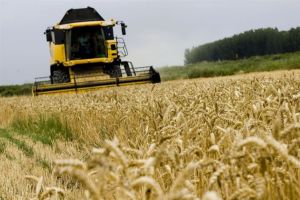Rusia va investi 70 de miliarde dolari pentru a creºte producþia de cereale Rusia va investi 70 de miliarde dolari pentru a creºte producþia de cereale