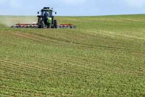 Raportarea producţiilor obţinute de fermierii români este corectă Raportarea producţiilor obţinute de fermierii români este corectă