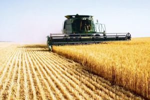 Exporturile de cereale au crescut cu 17,5% în primul semestru din 2019 Exporturile de cereale au crescut cu 17,5% în primul semestru din 2019