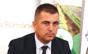 Ionel Arion Ionel Arion