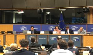 Maria Grapini, comisar european Maria Grapini, comisar european