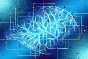 Inteligenţa Artificială "priveşte" direct în inima pacientului Inteligenţa Artificială "priveşte" direct în inima pacientului