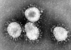 Sectorul turismului, îngrijorat de panica provocatã de epidemia de coronavirus Sectorul turismului, îngrijorat de panica provocatã de epidemia de coronavirus
