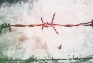 Protecþia Consumatorului Constanþa solicitã împiedicarea punerii pe piaþã a produselor din China Protecþia Consumatorului Constanþa solicitã împiedicarea punerii pe piaþã a produselor din China