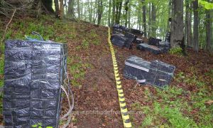 38500 de pachete cu ţigări de contrabandă confiscate la frontiera de nord a României 38500 de pachete cu ţigări de contrabandă confiscate la frontiera de nord a României