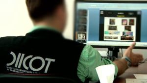 O grupare internaţională specializată în fraude informatice a fost destructurată O grupare internaţională specializată în fraude informatice a fost destructurată