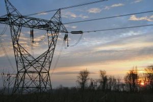CEZ a făcut primii paşi către crearea generaţiei verzi CEZ a făcut primii paşi către crearea generaţiei verzi