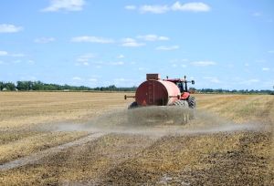 Tinerii fermieri pot beneficia de o suprafaţă de până la 50 de hectare concesionată din proprietatea statului Tinerii fermieri pot beneficia de o suprafaţă de până la 50 de hectare concesionată din proprietatea statului