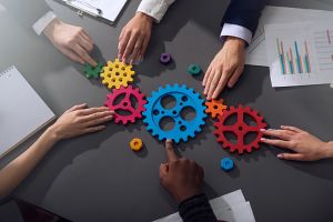 Preşedintele interimar al PNL Timiş a semnat protocolul de colaborare locală cu USR- PLUS Preşedintele interimar al PNL Timiş a semnat protocolul de colaborare locală cu USR- PLUS