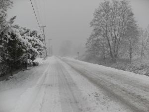 Circulaţie rutieră îngreunată în judeţul Constanţa din cauza zăpezii şi a viscolului Circulaţie rutieră îngreunată în judeţul Constanţa din cauza zăpezii şi a viscolului
