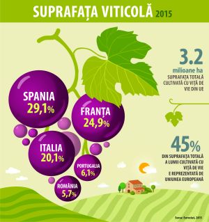 "Wine tourism", proiect comun între România şi Republica Moldova "Wine tourism", proiect comun între România şi Republica Moldova