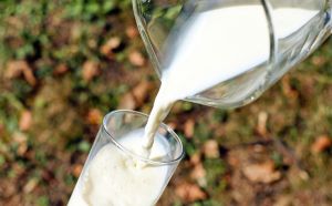 Cantitatea colectată de lapte de vacă a scăzut cu 0,9% Cantitatea colectată de lapte de vacă a scăzut cu 0,9%