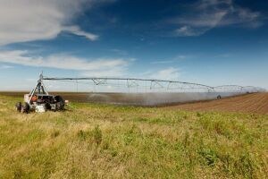 Clubul Fermierilor Români a lansat programul "Tineri Lideri pentru Agricultură" Clubul Fermierilor Români a lansat programul "Tineri Lideri pentru Agricultură"