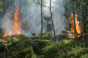 Australia, apocalipsa climatică Australia, apocalipsa climatică