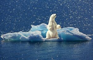 Temperatura oceanelor, la cel mai ridicat nivel din istoria măsurătorilor Temperatura oceanelor, la cel mai ridicat nivel din istoria măsurătorilor
