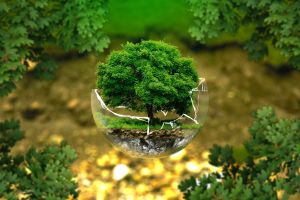 "Green Deal reprezintă o oportunitate imensă şi mecanismul cel mai potrivit pentru redresarea economiei europene" "Green Deal reprezintă o oportunitate imensă şi mecanismul cel mai potrivit pentru redresarea economiei europene"