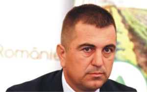 Ionel Arion Ionel Arion