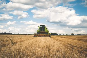 Recul pentru afacerile din agricultură Recul pentru afacerile din agricultură
