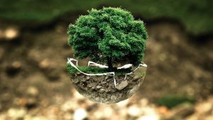 Natura se bucură, maşinile electrice câştigă teren în faţa celor "clasice" Natura se bucură, maşinile electrice câştigă teren în faţa celor "clasice"