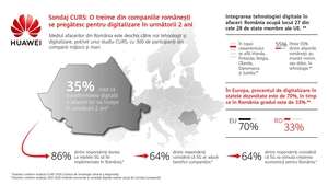 O treime din firmele din România se pregãtesc de digitalizare în urmãtorii doi ani O treime din firmele din România se pregãtesc de digitalizare în urmãtorii doi ani