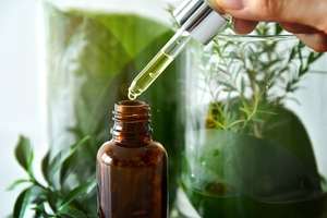 Pânã în 2030, 95% dintre ingredientele produselor L'Oreal vor proveni din surse regenerabile Pânã în 2030, 95% dintre ingredientele produselor L'Oreal vor proveni din surse regenerabile